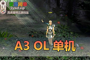 A3OL单机版四职业送GM攻略韩国经典复古网游单机219虚拟机一键端