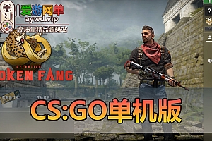 精品端游【CSGO】免虚拟机一键启动视频安装教程智能机器人模式单机自娱自乐物品道具解锁