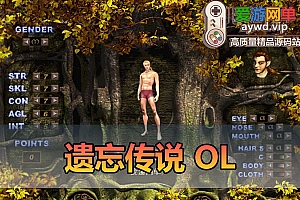 爱游网单亲测【遗忘传说OL】稀有韩国网游单机虚拟机一键单机端 汉化80%+ 亲测视频安装教学
