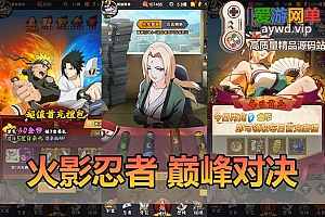 爱游网单亲测【火影忍者巅峰对决】单机版配套GM后台视频安装教学虚拟机一键端+文本教学手工端